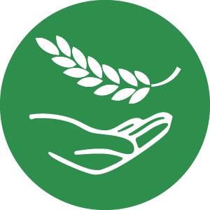 Fase di selezione del prodotto